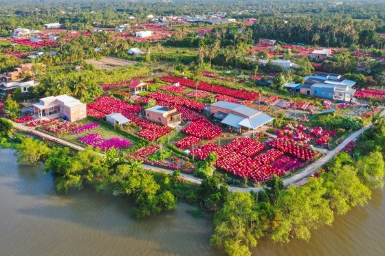 Vĩnh Long đón đoàn khách quốc tế đầu năm, hướng tới phát triển du lịch bền vững - 4