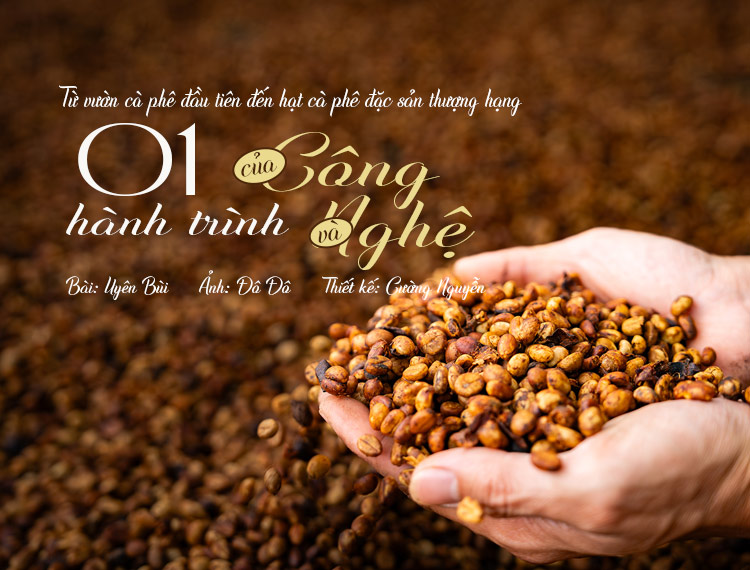 Từ vườn cà phê đầu tiên đến hạt cà phê đặc sản: Một hành trình của 