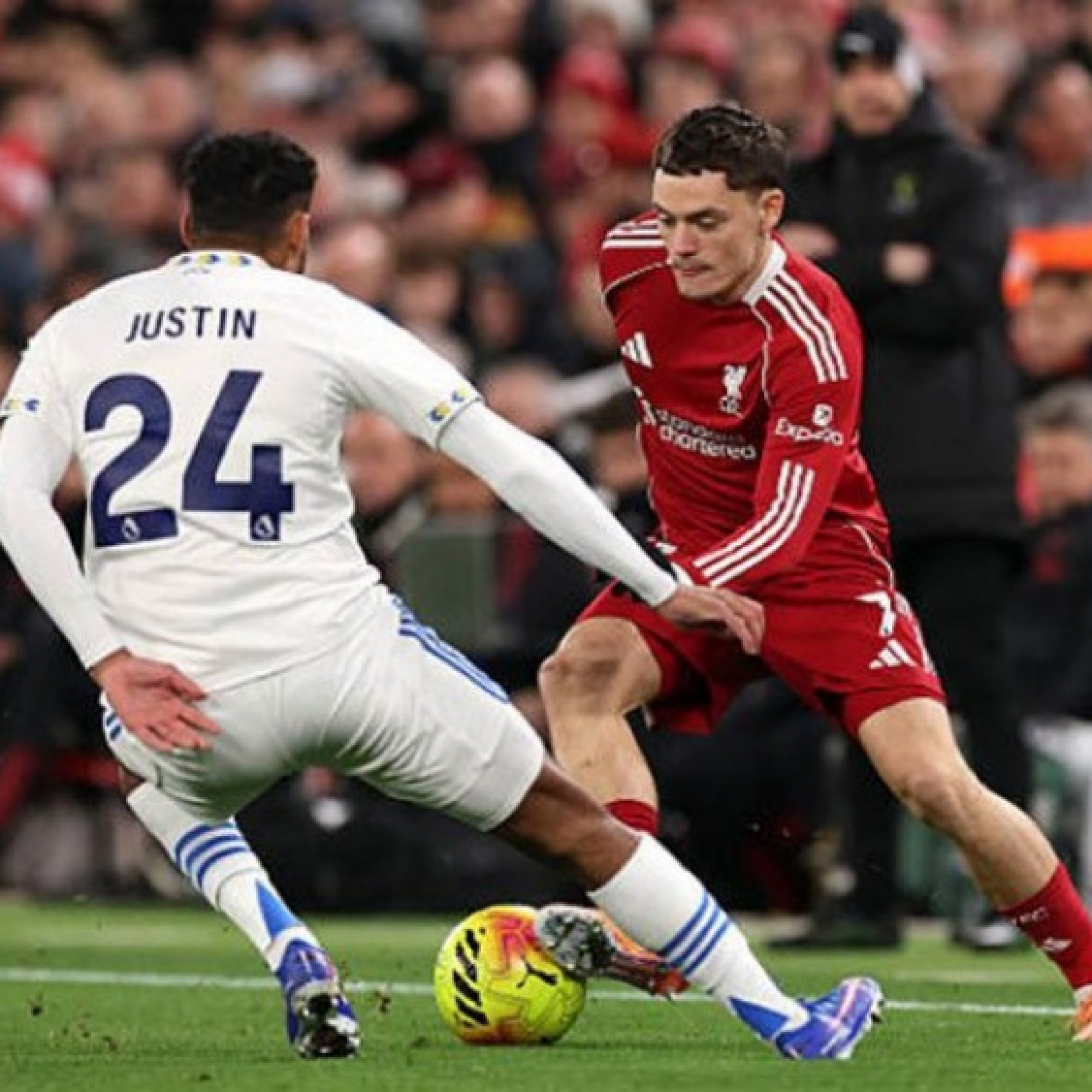  - Trực tiếp bóng đá Liverpool - Leeds United: Ekitike tạo cơ hội đầu tiên (Ngoại hạng Anh)