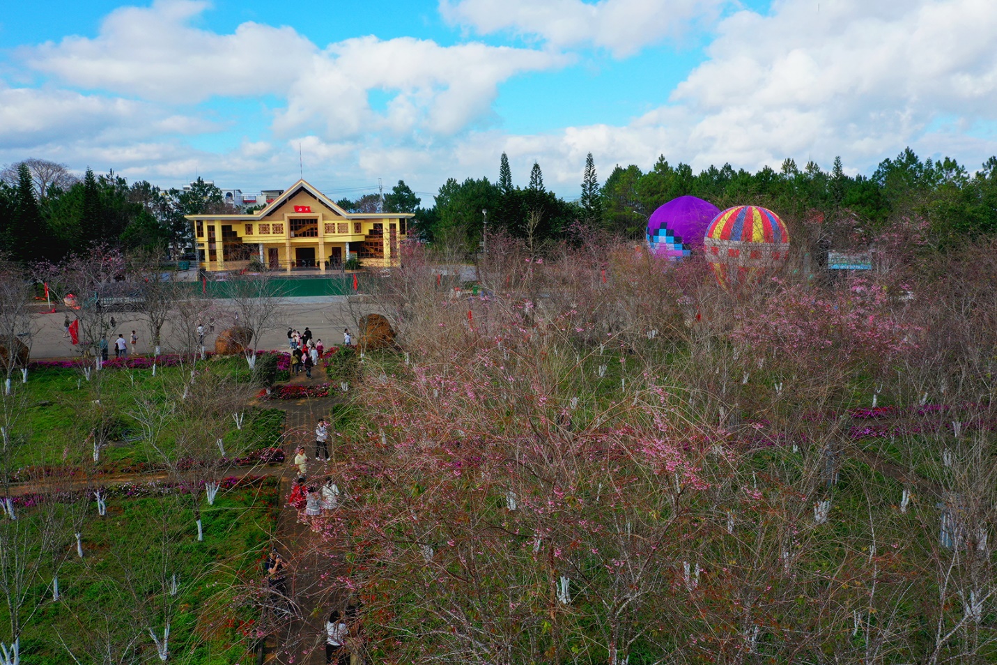 tuan le van hoa  mang den - sac hong giua dai ngan hap dan du khach - 17