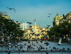  - Mùng 2 Tết Dương lịch, dạo bước nhàn du giữa nhịp phố