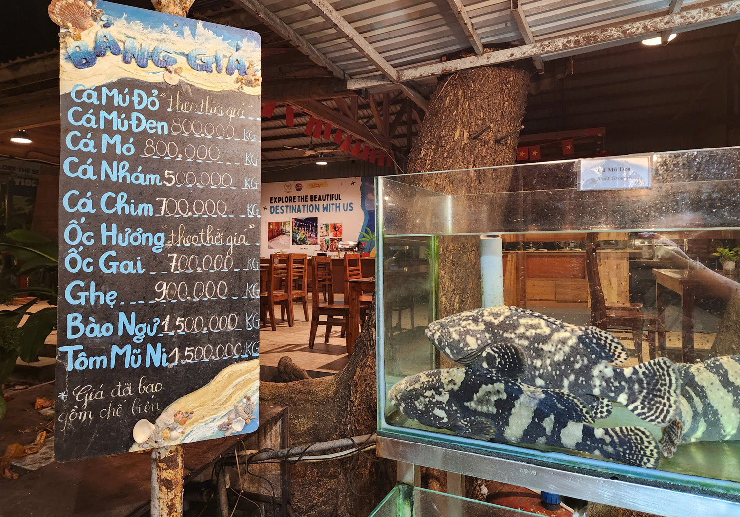 Kỳ nghỉ thanh bình ở đặc khu Côn Đảo - 19