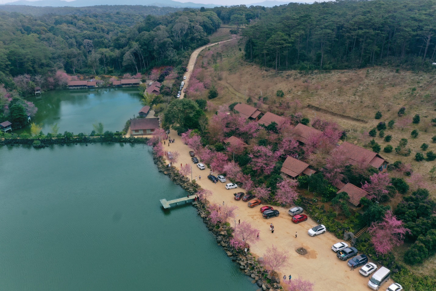 tung bung chuong trinh nghe thuat mang den chao xuan binh ngo 2026 - 15