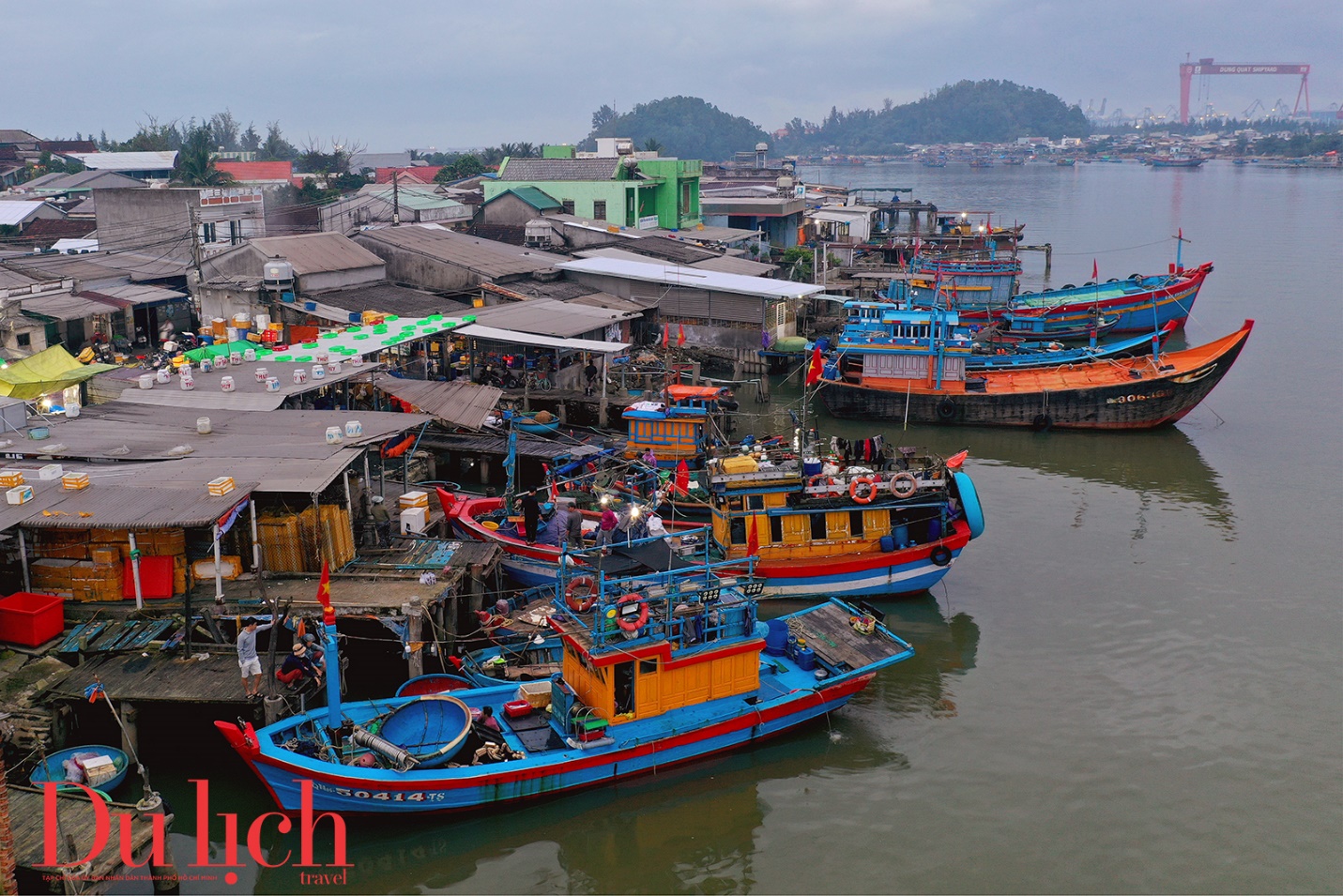 hoi sinh huong vi bien ca: hanh trinh dua nuoc mam sa can vuon xa - 3