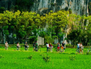 Du lịch Việt Nam tăng trưởng hàng đầu thế giới - Là trụ cột thúc đẩy tăng trưởng kinh tế đất nước