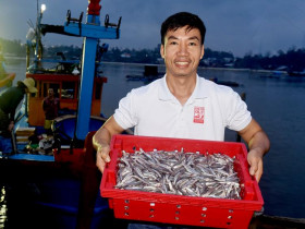  - Hồi sinh hương vị biển cả: Hành trình đưa nước mắm Sa Cần vươn xa