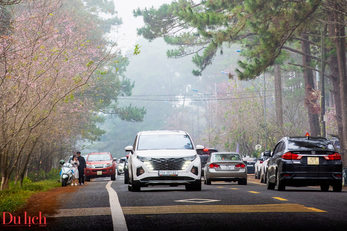 tuan van hoa - du lich mang den 2026 thu hut hon 55.000 luot du khach. - 5