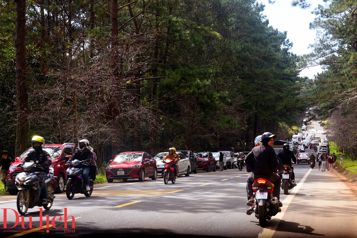 tuan van hoa - du lich mang den 2026 thu hut hon 55.000 luot du khach. - 8