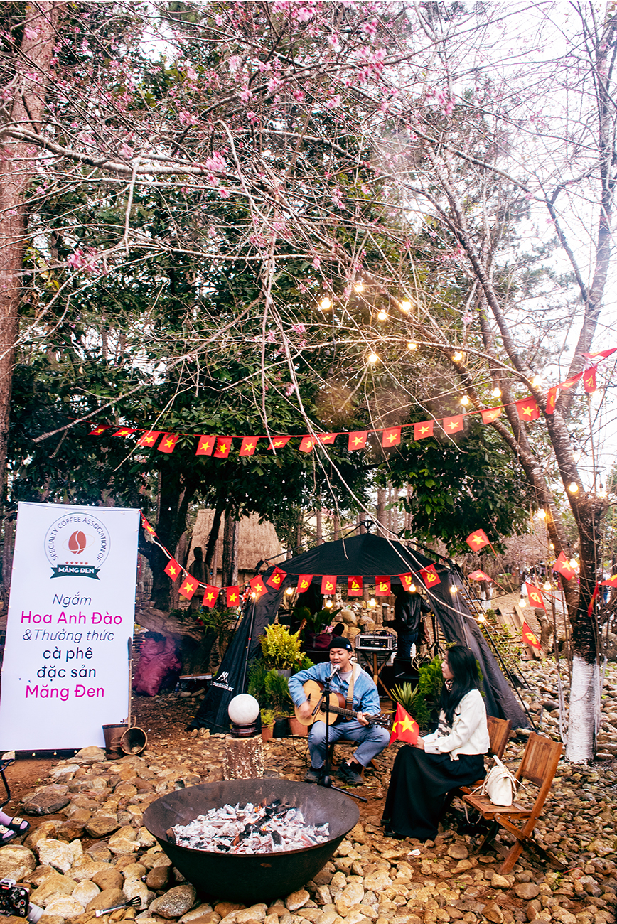 tuan van hoa - du lich mang den 2026 thu hut hon 55.000 luot du khach. - 9