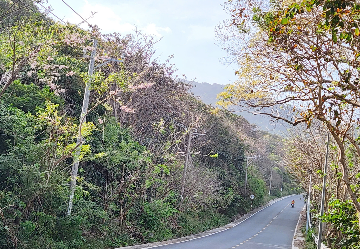 Chạy quanh Côn Đảo ngắm hoa anh đào và săn máy bay tại Bãi Đầm Trầu - 6