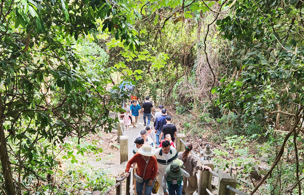 Chạy quanh Côn Đảo ngắm hoa anh đào và săn máy bay tại Bãi Đầm Trầu - 10