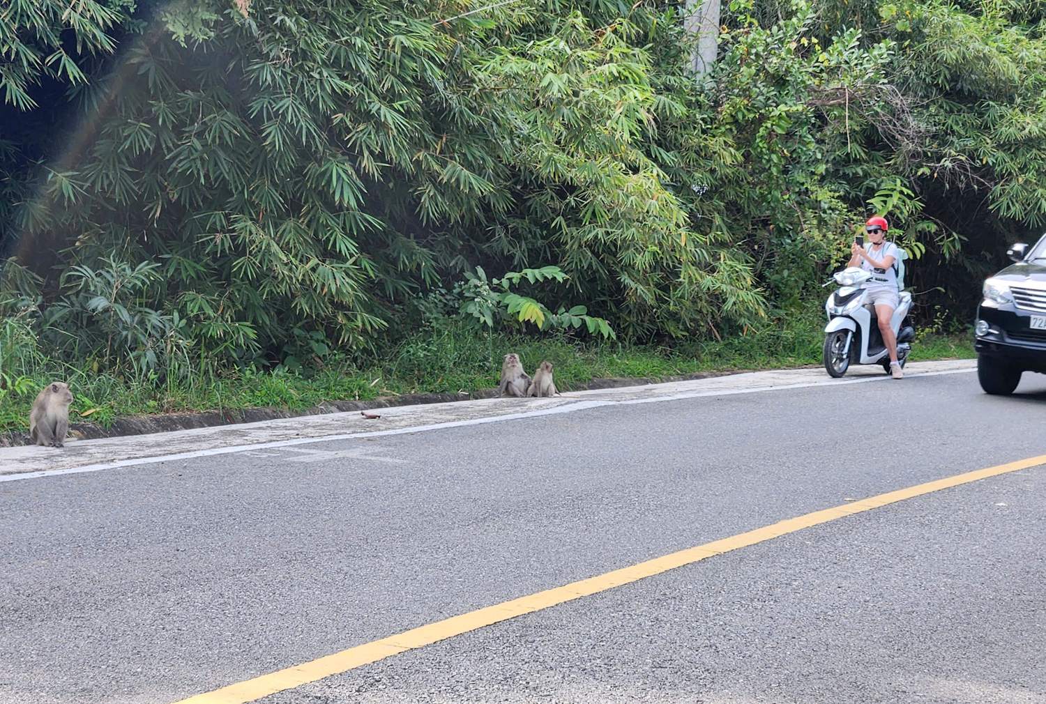 Chạy quanh Côn Đảo ngắm hoa anh đào và săn máy bay tại Bãi Đầm Trầu - 14