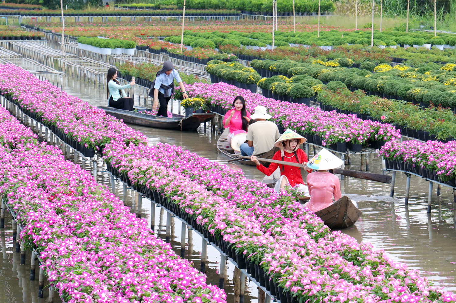 Gần 600 nghìn du khách đến với Festival Hoa – Kiểng Sa Đéc - 13