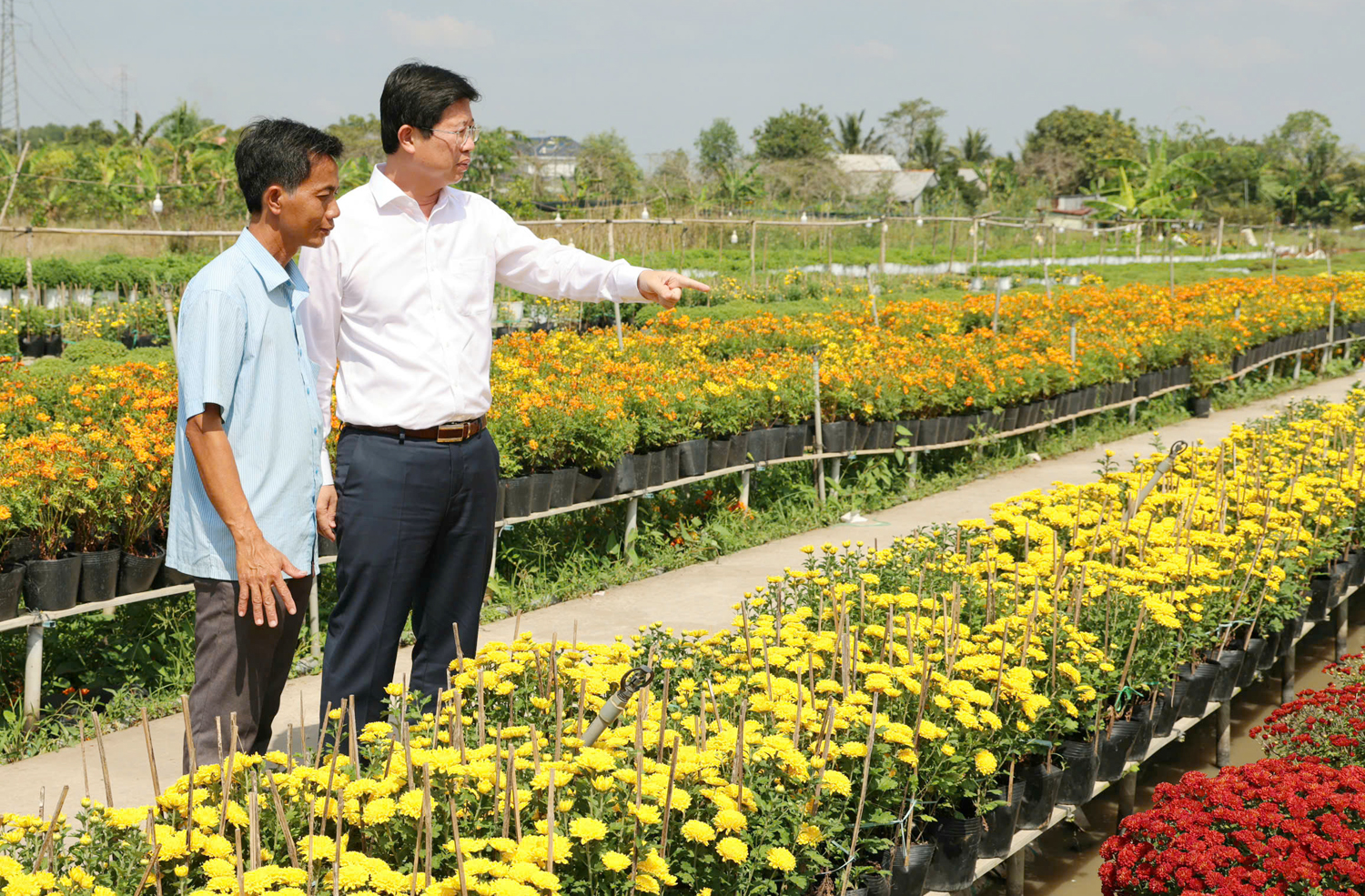 Gần 600 nghìn du khách đến với Festival Hoa – Kiểng Sa Đéc - 16