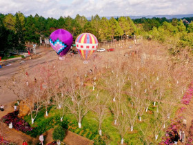  - Tuần Văn hóa - Du lịch Măng Đen 2026 thu hút hơn 55.000 lượt du khách.