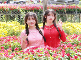  - Gần 600 nghìn du khách đến với Festival Hoa – Kiểng Sa Đéc