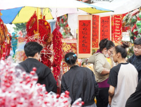  - Phố Hải Thượng Lãn Ông rực rỡ sắc Tết Bính Ngọ 2026