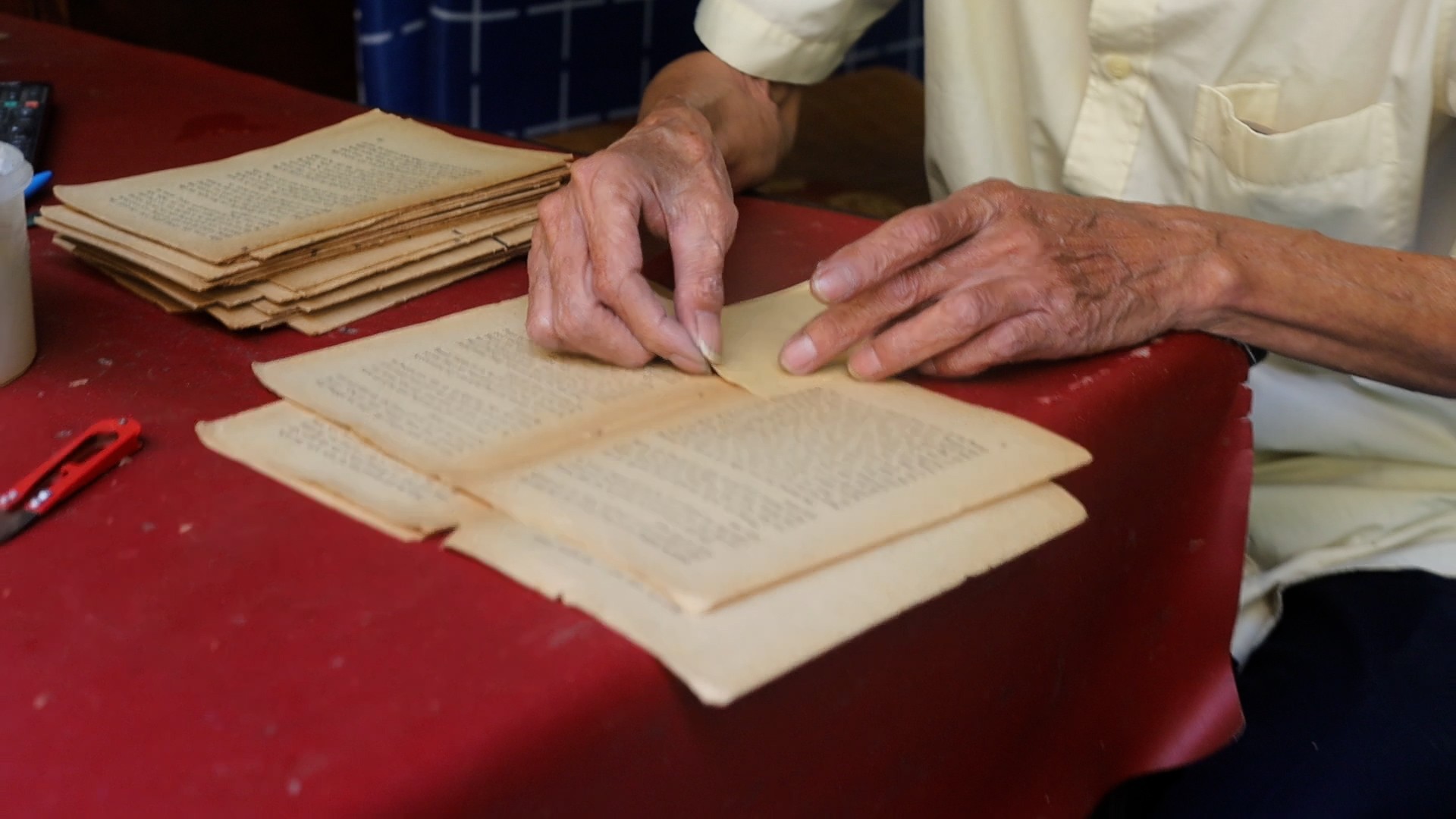 Hai thế hệ và một niềm đam mê “chữa lành” cho sách - 3