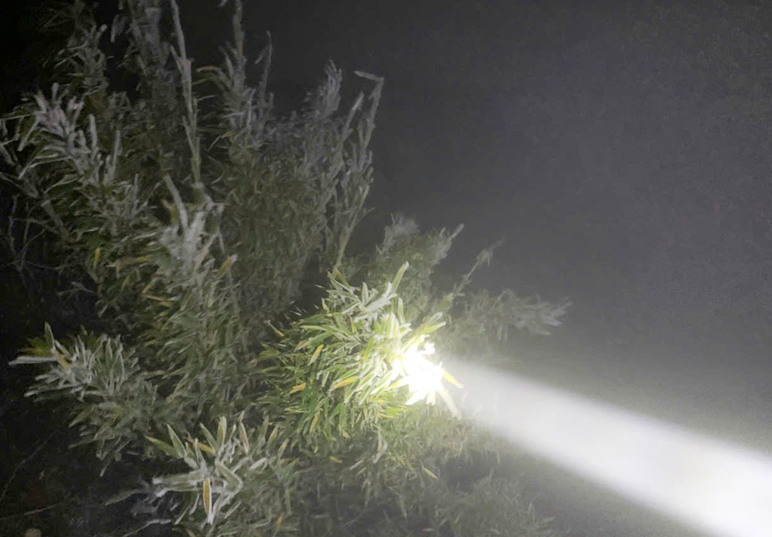 Băng giá trên đỉnh Fansipan - 2