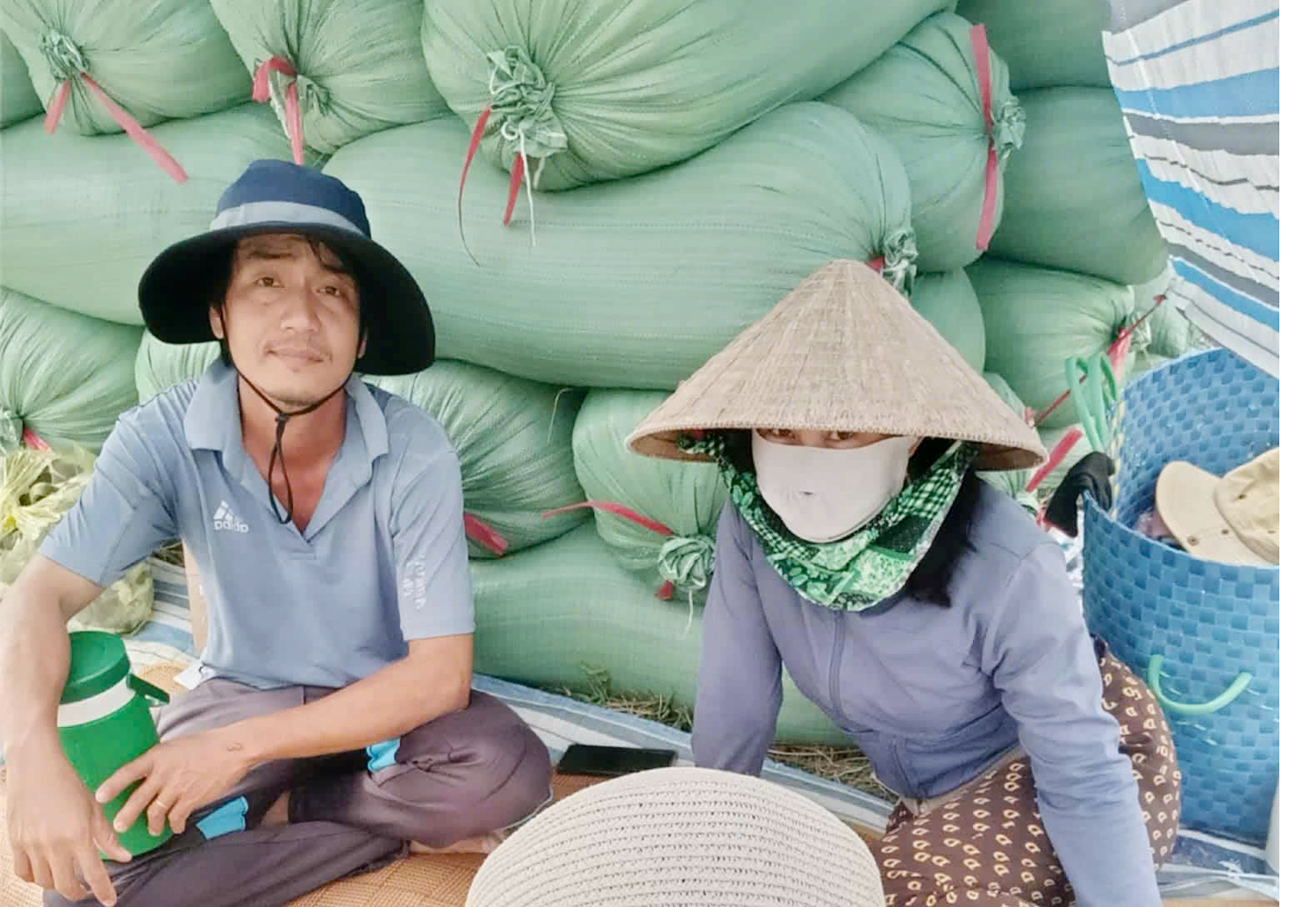 Trúng mùa tôm – lúa, nông dân miền Tây rủ nhau đi du lịch - 6