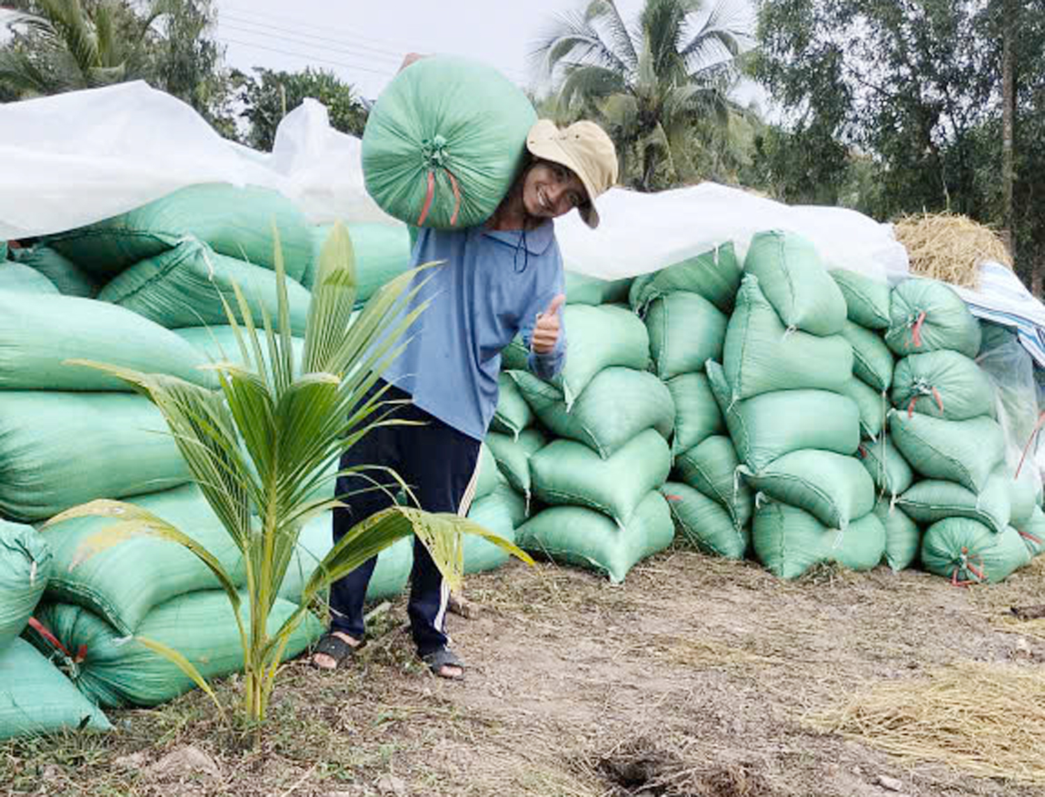 Trúng mùa tôm – lúa, nông dân miền Tây rủ nhau đi du lịch - 8