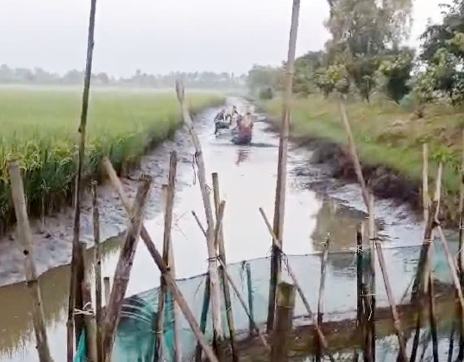 Trúng mùa tôm – lúa, nông dân miền Tây rủ nhau đi du lịch - 12