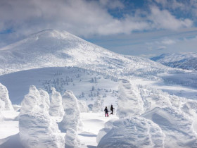  - Đến Hokkaido và Tohoku: Khám phá vẻ đẹp thiên đường mùa đông bất tận