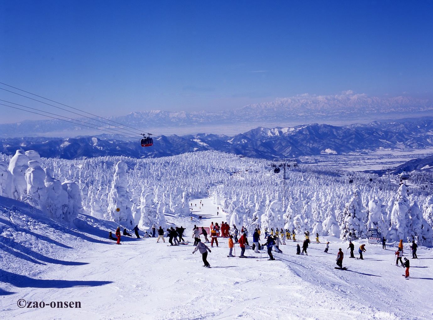 Đến Hokkaido và Tohoku: Khám phá vẻ đẹp thiên đường mùa đông bất tận - 10