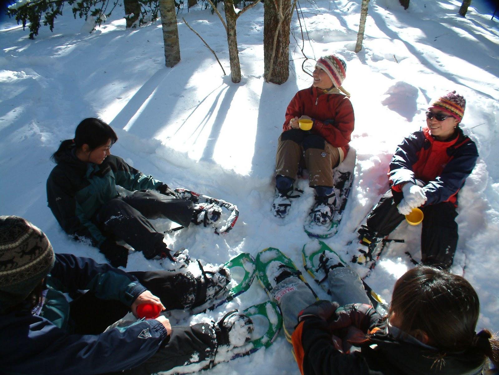 Đến Hokkaido và Tohoku: Khám phá vẻ đẹp thiên đường mùa đông bất tận - 4