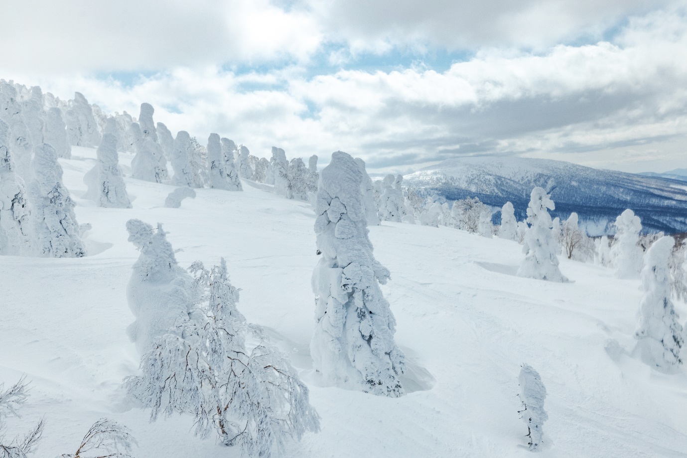 Đến Hokkaido và Tohoku: Khám phá vẻ đẹp thiên đường mùa đông bất tận - 7