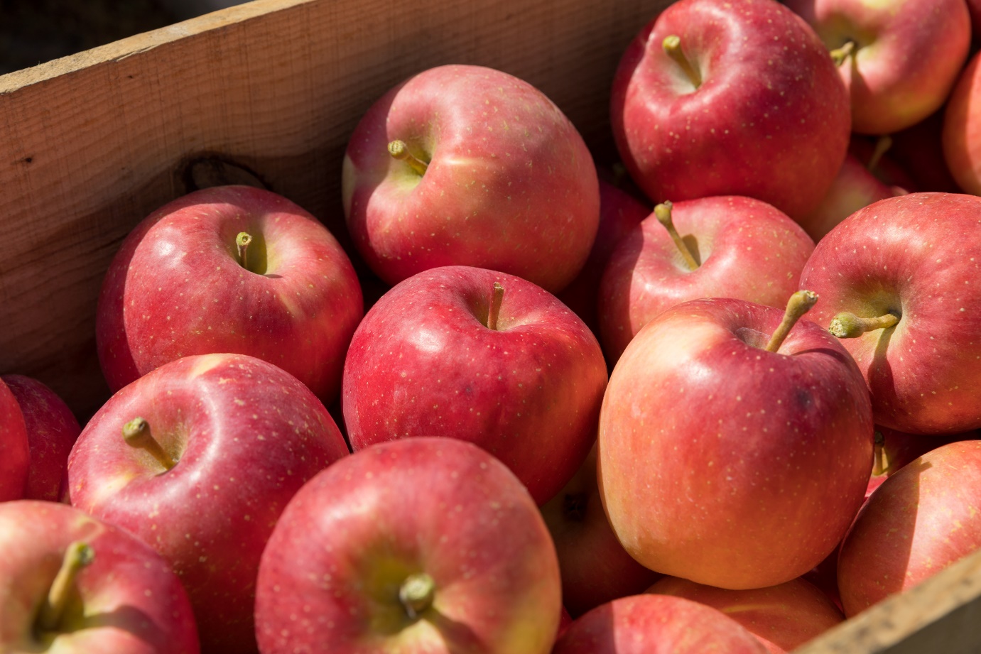 Đến Hokkaido và Tohoku: Khám phá vẻ đẹp thiên đường mùa đông bất tận - 8