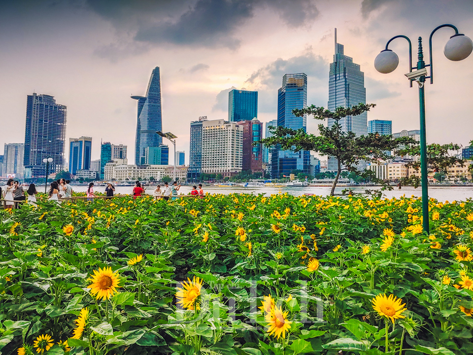 TP.HCM rộn ràng chuỗi sự kiện ‘Tết Văn hóa - Nghĩa tình’ chào Xuân Bính Ngọ - 4