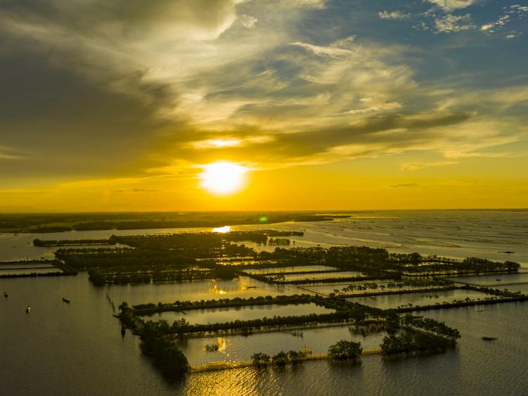 Phát triển dịch vụ du lịch vùng đầm phá Tam Giang