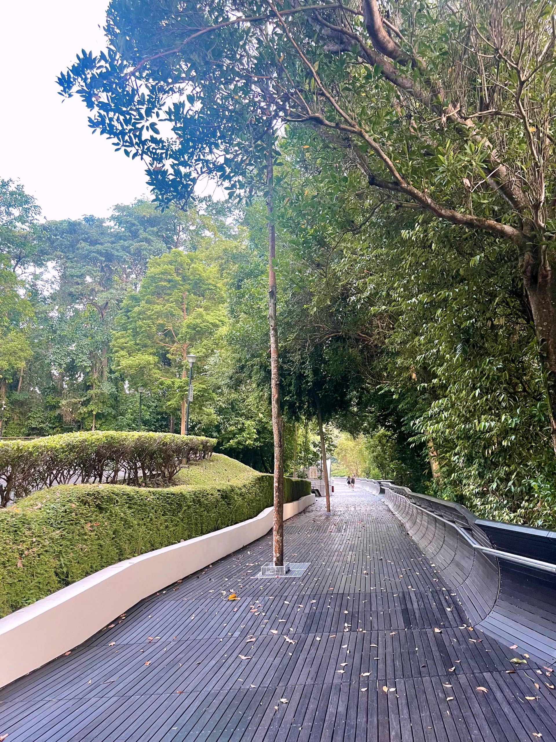 Singapore ngày trở lại: Ngỡ ngàng từ những điều thân thuộc nhất - 8