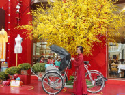 Check-in không gian tết xưa giữa lòng TP.HCM