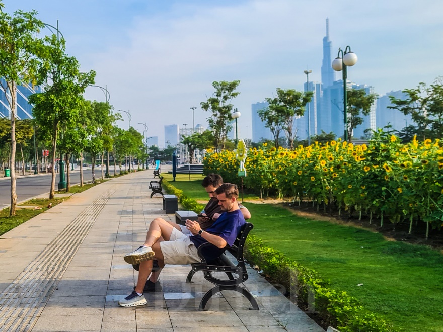 Gần Tết, vườn hoa hướng dương nở rực rỡ bên sông Sài Gòn - 13