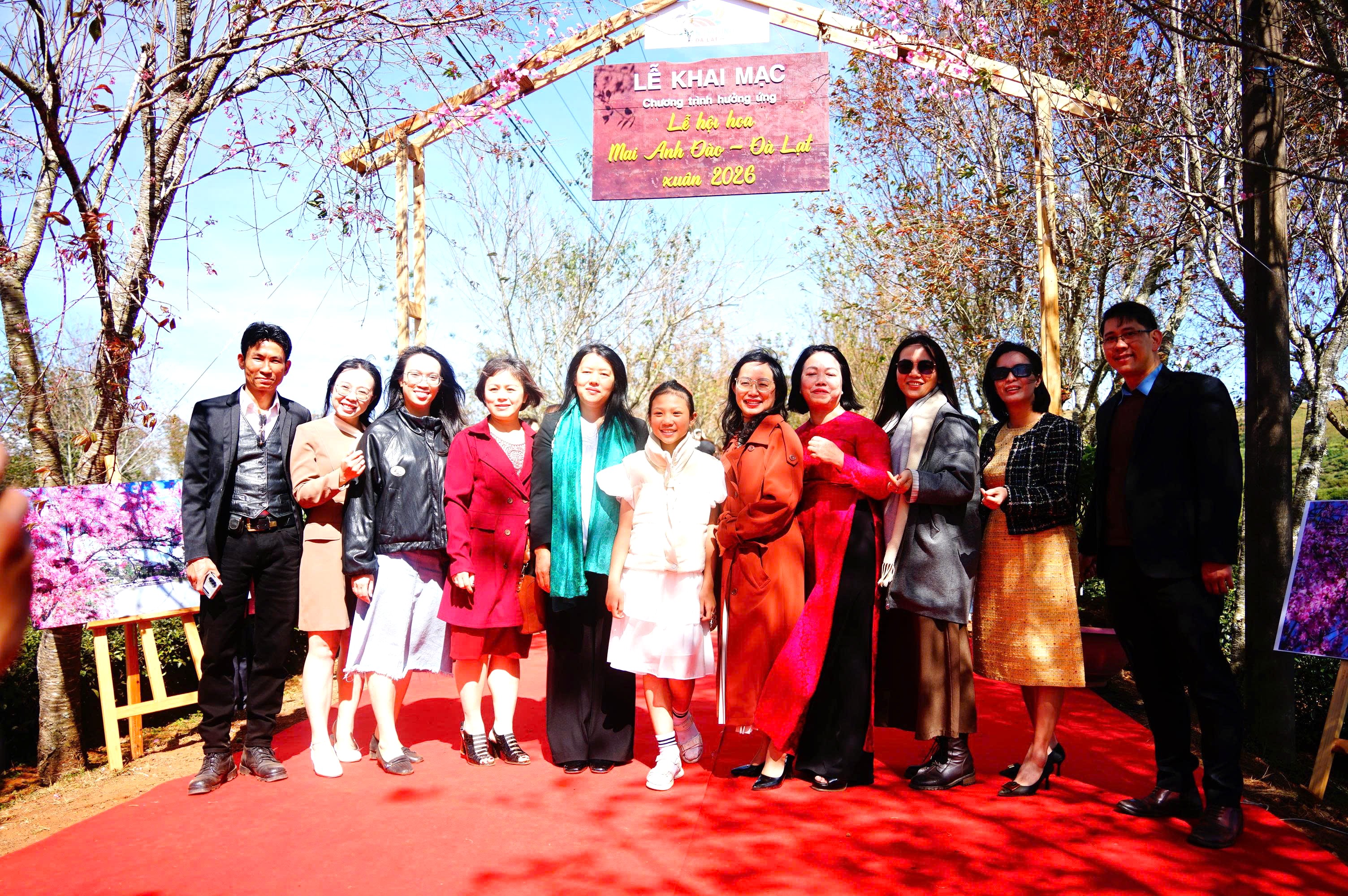 Mai anh đào bung nở rực hồng vùng trà Cầu Đất ở Đà Lạt - 3