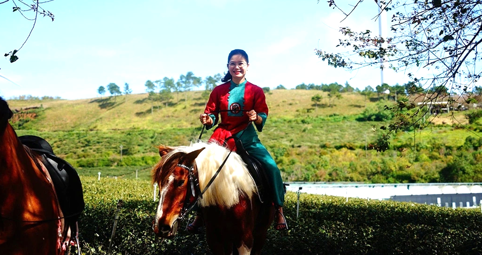 Mai anh đào bung nở rực hồng vùng trà Cầu Đất ở Đà Lạt - 8