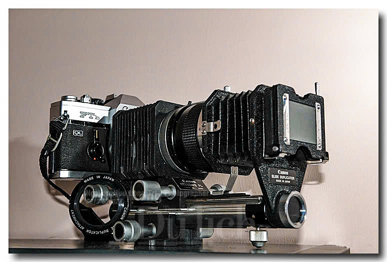 Thầy giáo tiếng Anh lạc vào vũ trụ siêu tí hon – chuyến du hành vào thế giới macro - 5