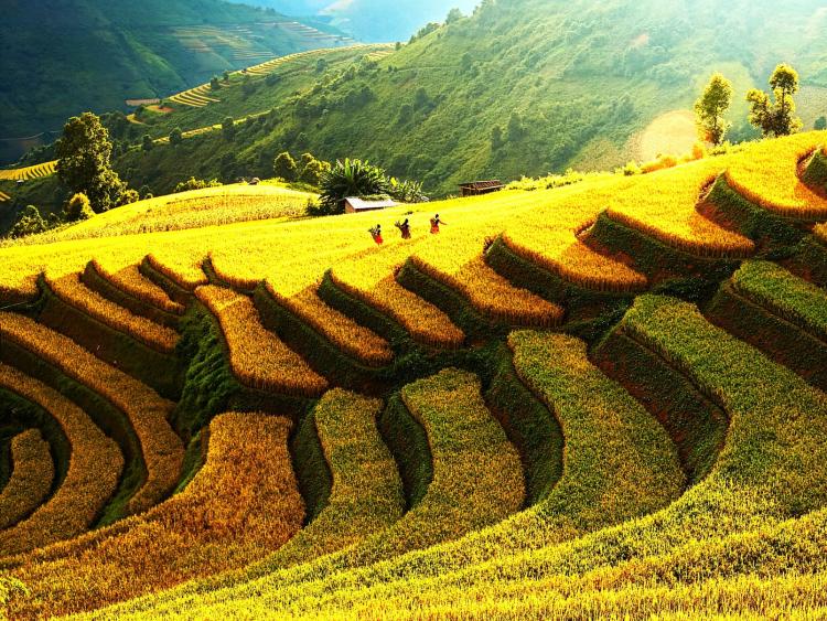 Sơn La: Quảng bá du lịch thông qua nhiều hoạt động truyền cảm hứng