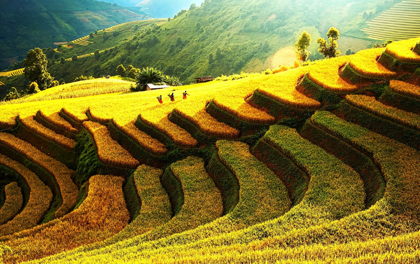 Sơn La: Quảng bá du lịch thông qua nhiều hoạt động truyền cảm hứng - 1