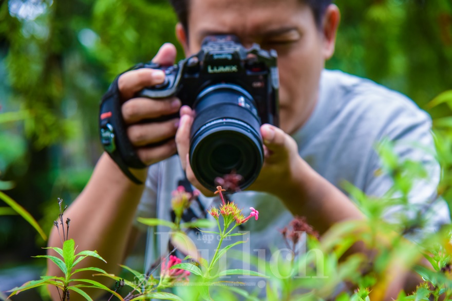 Thầy giáo tiếng Anh lạc vào vũ trụ siêu tí hon – chuyến du hành vào thế giới macro - 15