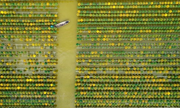 Đẩy mạnh chuyển đổi số gắn với sản phẩm du lịch đặc thù - 2