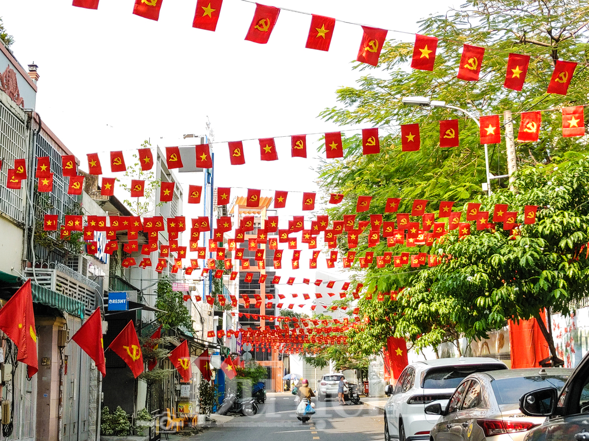Nhịp bước du xuân, ngắm TP.HCM rực rỡ cờ hoa chào mừng ngày hội lớn - 5