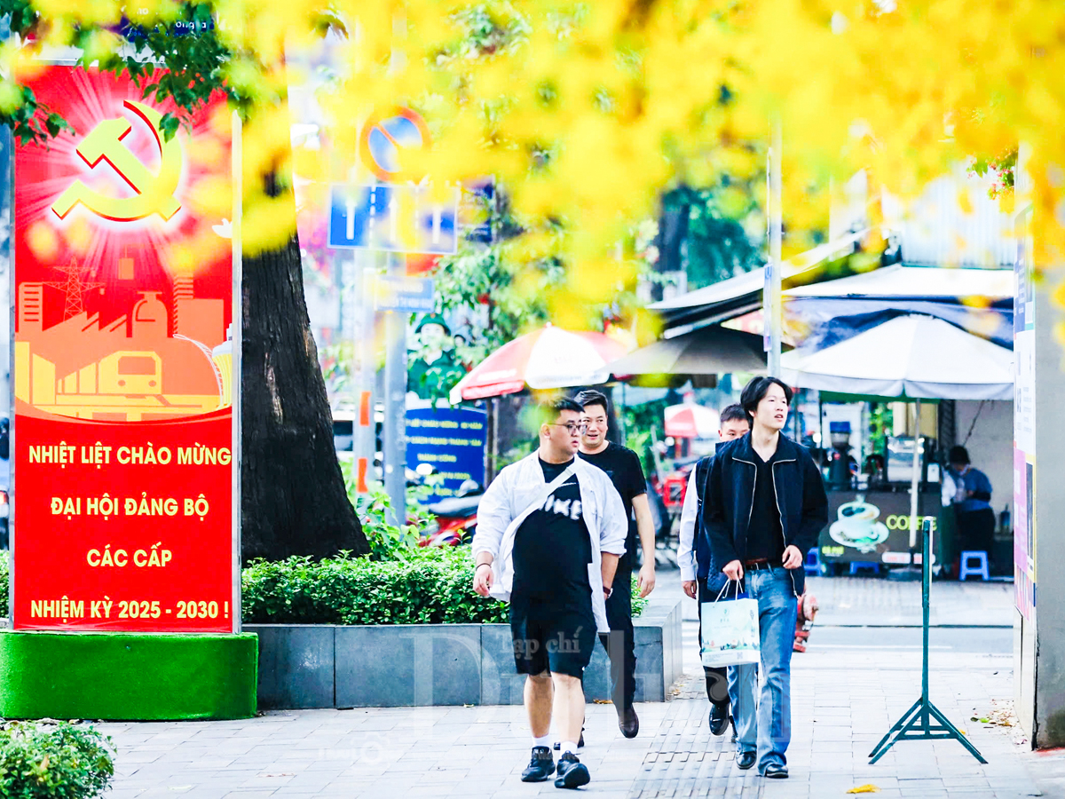 Nhịp bước du xuân, ngắm TP.HCM rực rỡ cờ hoa chào mừng ngày hội lớn - 4