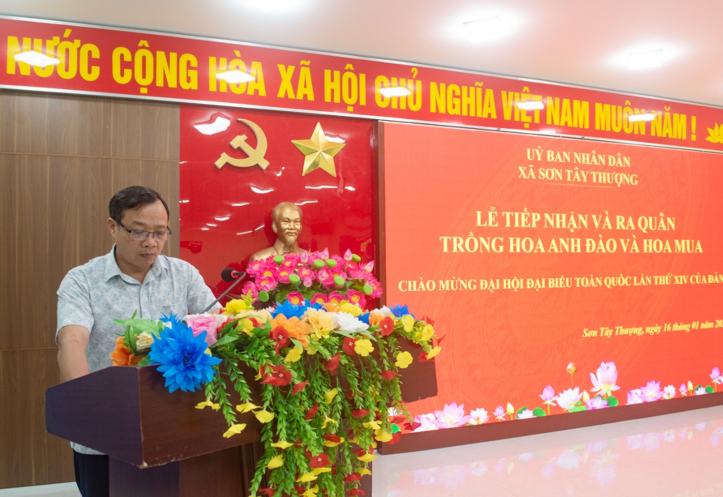 son tay thuong trong hon 1.000 cay mai anh dao tao diem den du lich xanh - 1