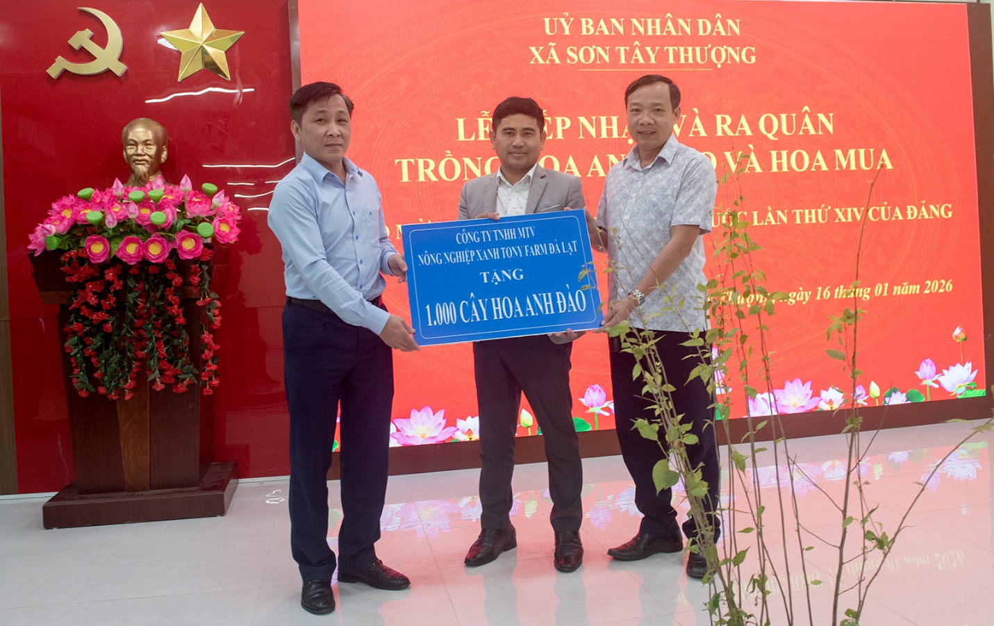 son tay thuong trong hon 1.000 cay mai anh dao tao diem den du lich xanh - 2