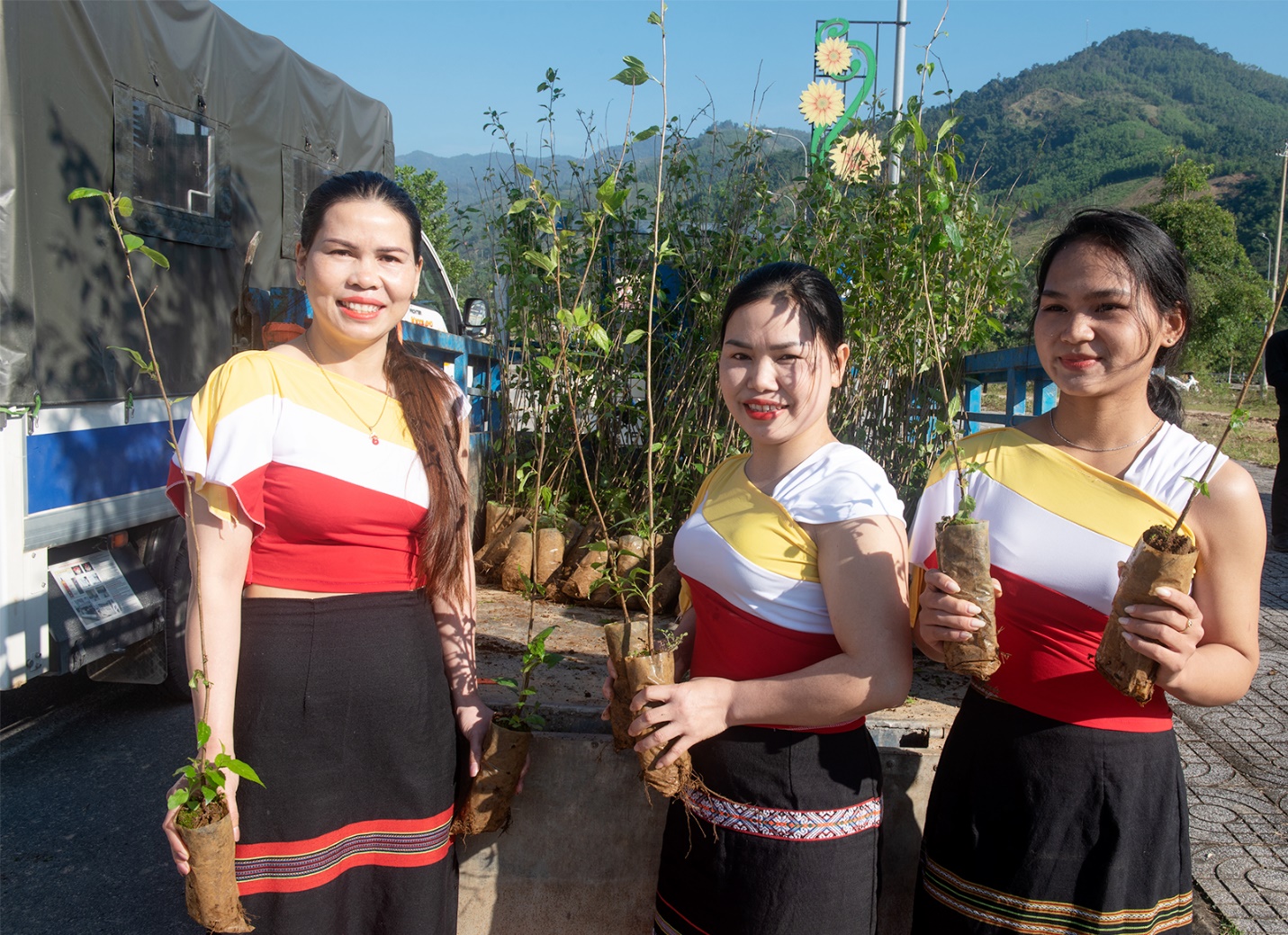 son tay thuong trong hon 1.000 cay mai anh dao tao diem den du lich xanh - 9