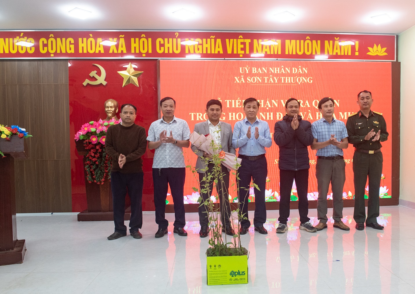 son tay thuong trong hon 1.000 cay mai anh dao tao diem den du lich xanh - 4