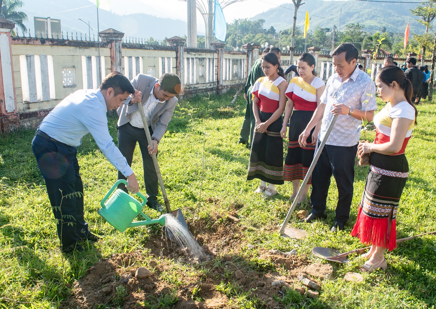 son tay thuong trong hon 1.000 cay mai anh dao tao diem den du lich xanh - 5